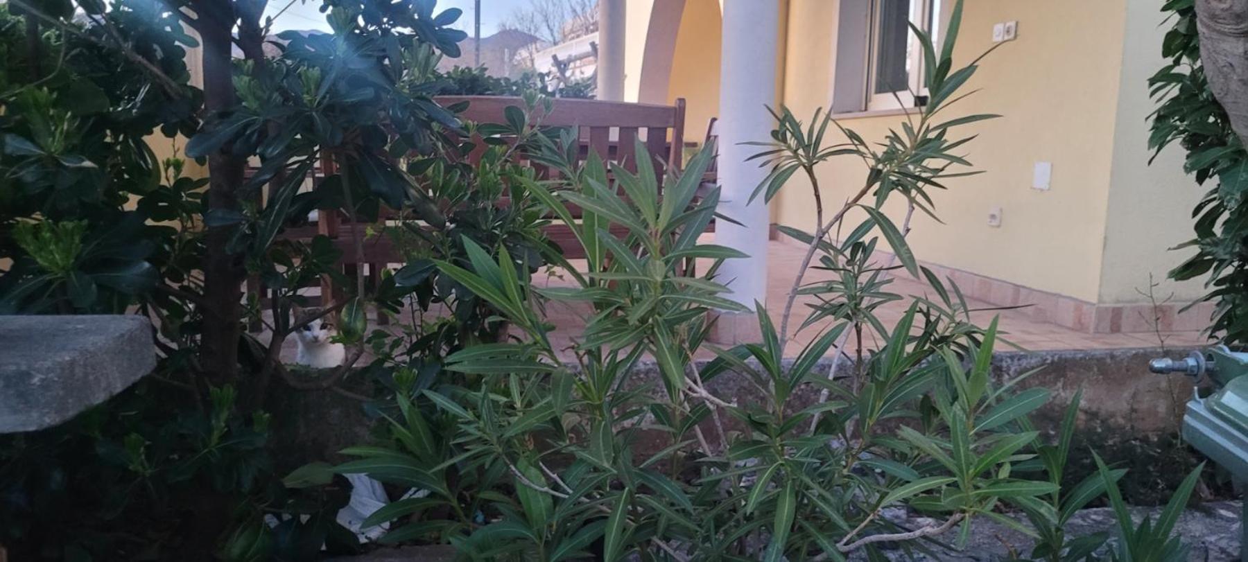 קלנוביצה Apartmani Sanja מראה חיצוני תמונה