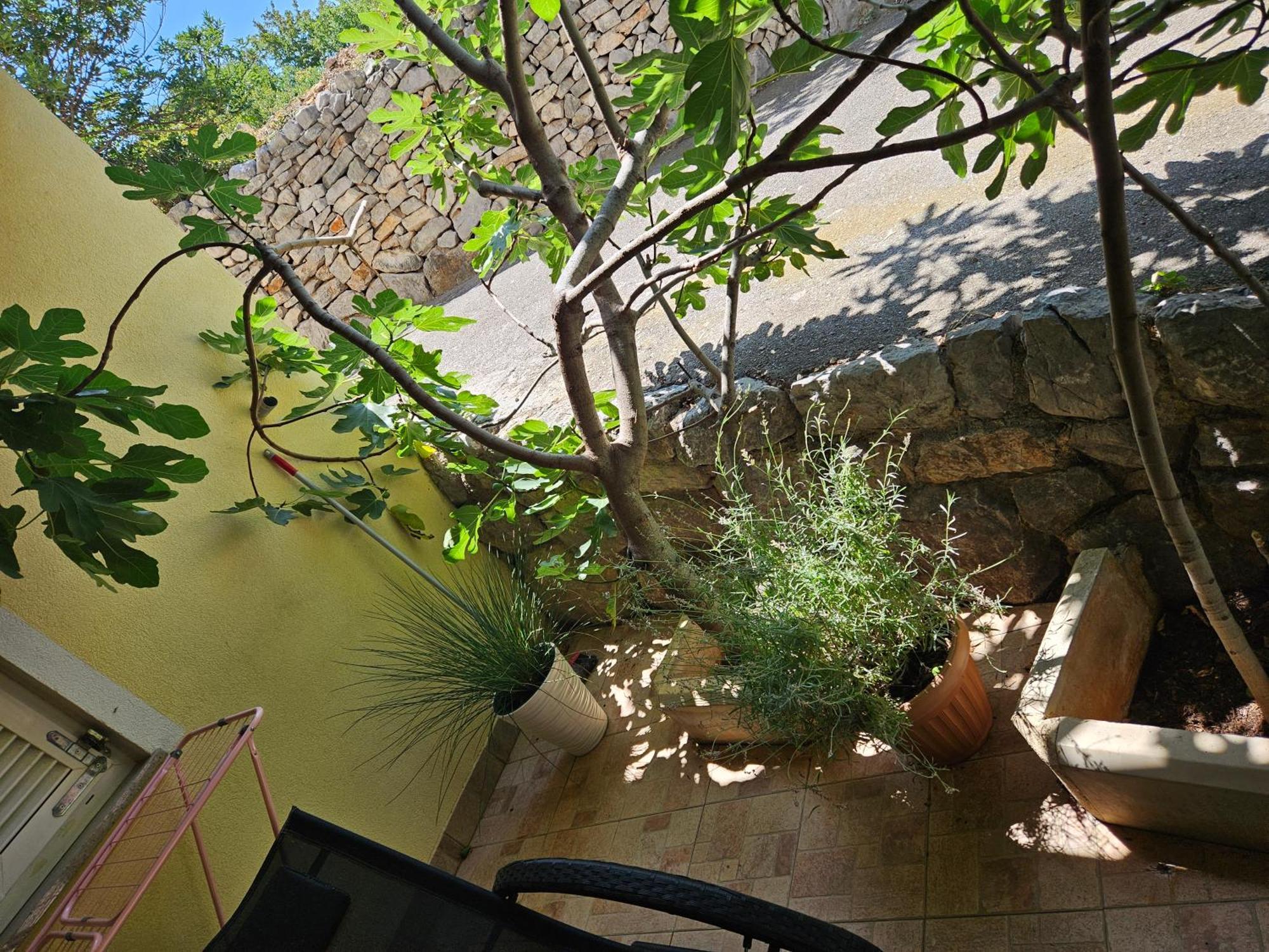 קלנוביצה Apartmani Sanja מראה חיצוני תמונה