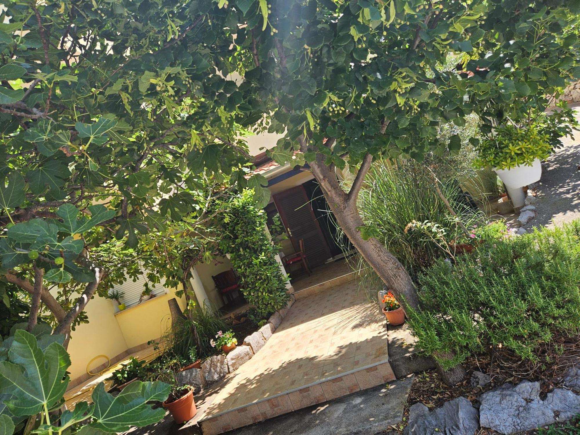 קלנוביצה Apartmani Sanja מראה חיצוני תמונה