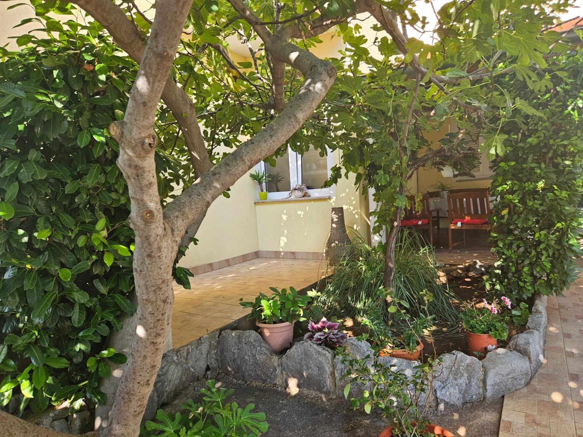 קלנוביצה Apartmani Sanja מראה חיצוני תמונה